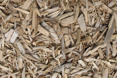biomass boilers Swepstone